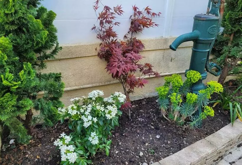 Maison De Pêcheur Charmante Et Atypique En Pierre, 1 Min De Marche De La Mer