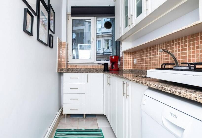 Amazing Flat With Excellent Location In Besiktas