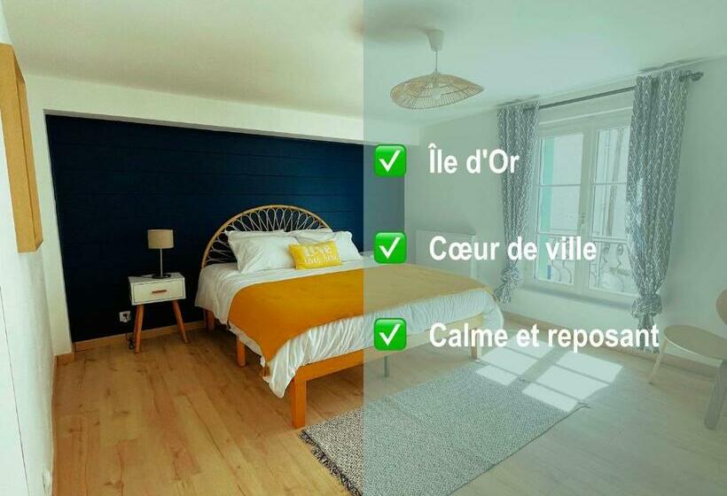 Amboise   L écrin De Léonard