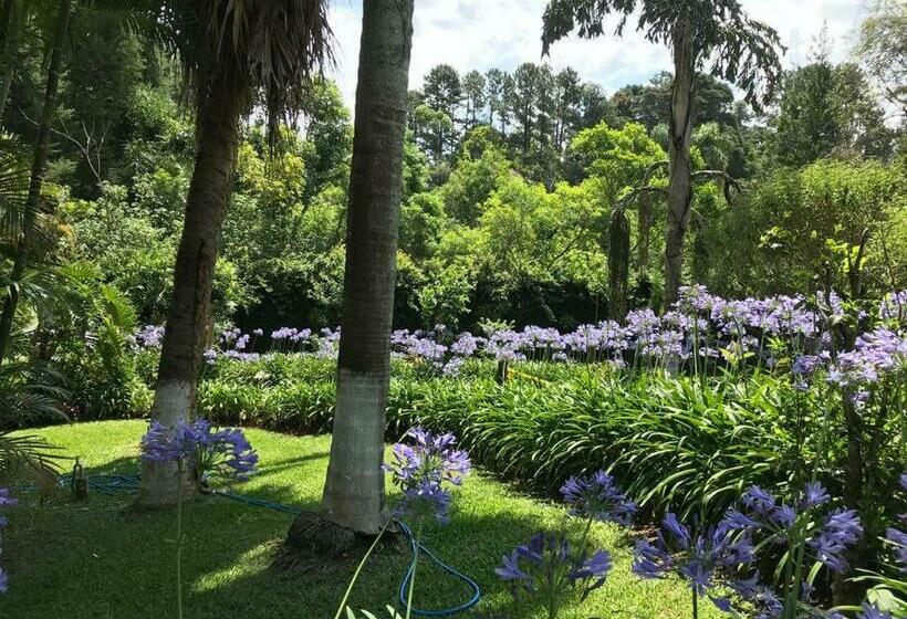 Lindo E Aconchegante Chalé Com Piscina, Lareira E Churrasqueira