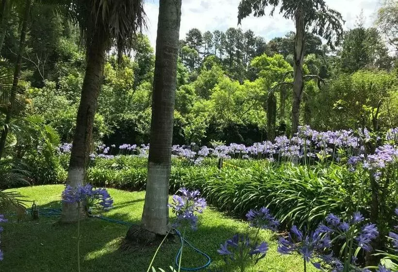 Lindo E Aconchegante Chalé Com Piscina, Lareira E Churrasqueira