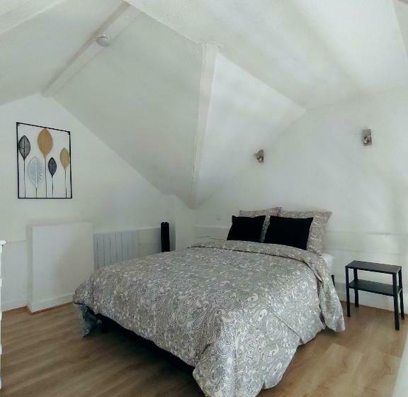 Lourdes : Duplex à 500m De La Grotte