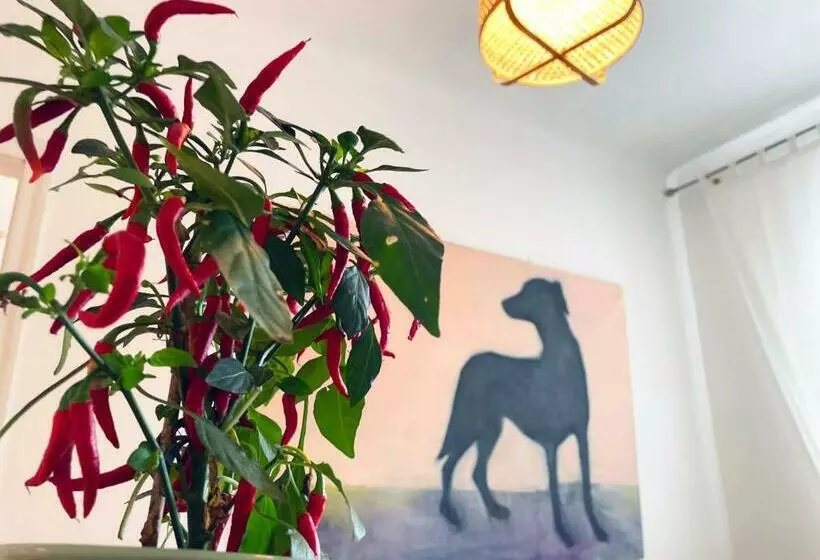 Ditas Seaside Park Apartment