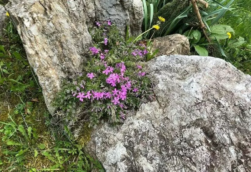 Appartamento Giada Pozzale Di Pieve Di Cadore