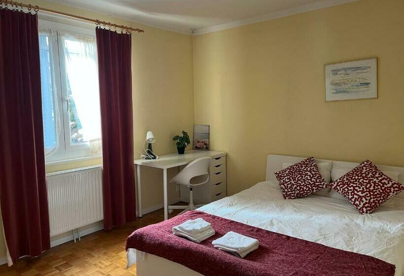 Individual House Free Parking Wifi Netflix Disney Next To Epfl Lausanne