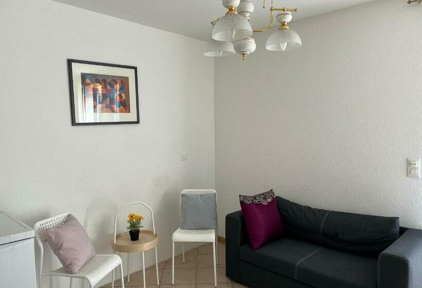 Individual House Free Parking Wifi Netflix Disney Next To Epfl Lausanne