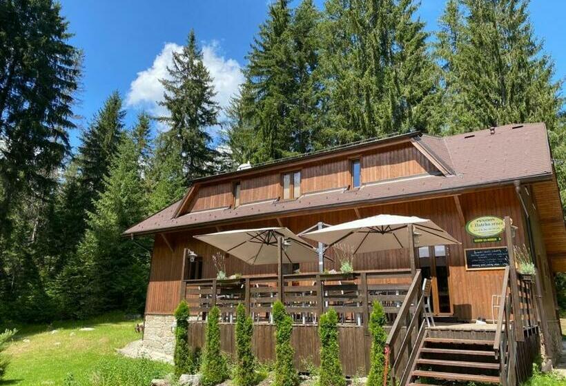 ペンション Penzion U Zlatého Srnce