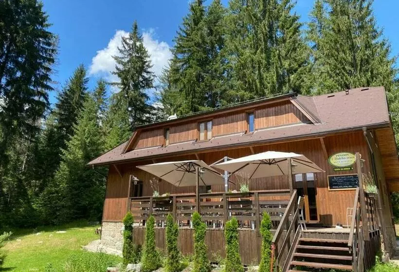 Majatalo Penzion U Zlatého Srnce