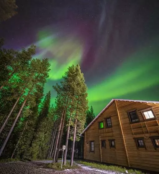 Villa Arcticfox Levi