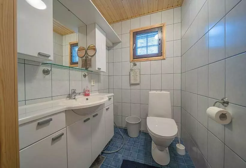 Villa Arcticfox Levi