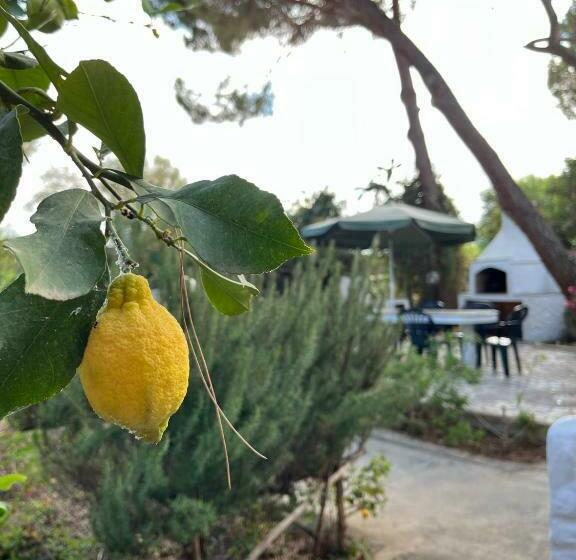 Casa Carla Casa In Pineta A 100 Mt Dalla Spiaggia