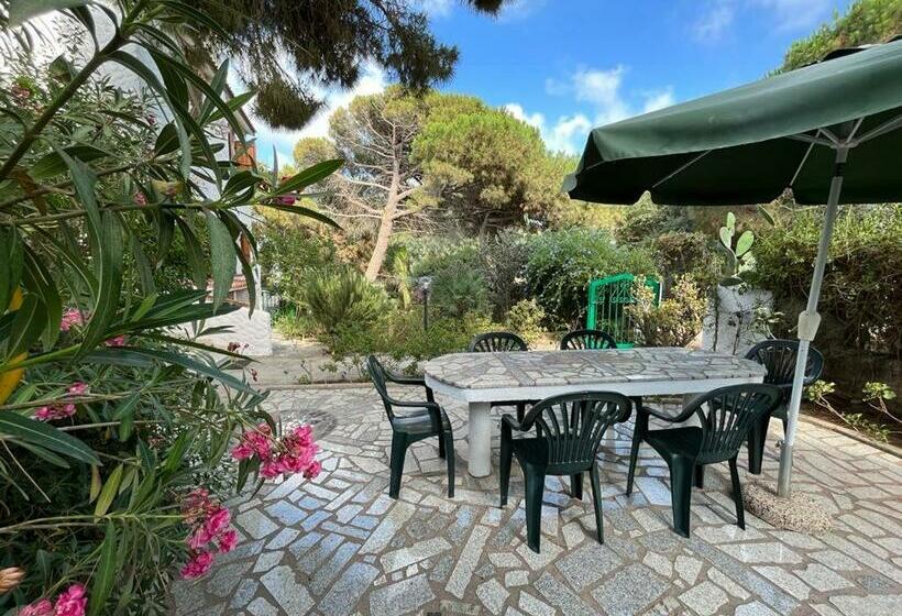 Casa Carla Casa In Pineta A 100 Mt Dalla Spiaggia