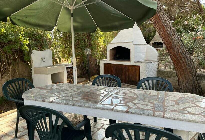 Casa Carla Casa In Pineta A 100 Mt Dalla Spiaggia