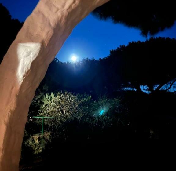 Casa Carla Casa In Pineta A 100 Mt Dalla Spiaggia