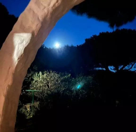 Casa Carla Casa In Pineta A 100 Mt Dalla Spiaggia