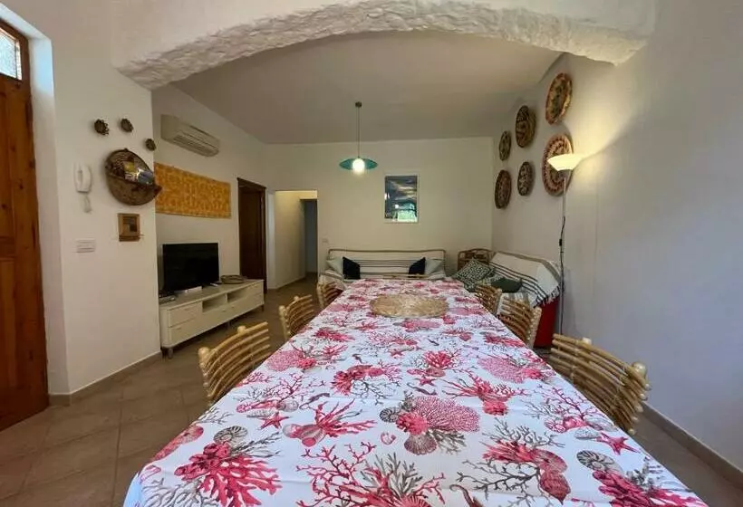 Casa Carla Casa In Pineta A 100 Mt Dalla Spiaggia