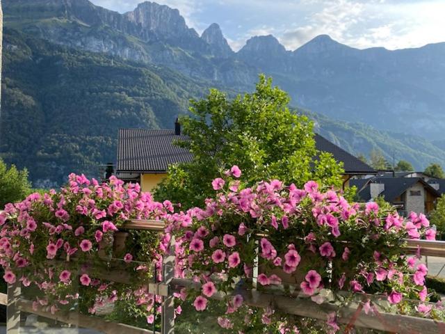 Maisonette Im Penthouse Stil Ca 145m2 Mit Viel Privatsphäre Direkt Am Walensee Mit Badestrand