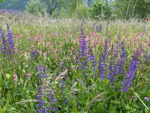 Maisonette Im Penthouse Stil Ca 145m2 Mit Viel Privatsphäre   Direkt Am Walensee Mit Badestrand