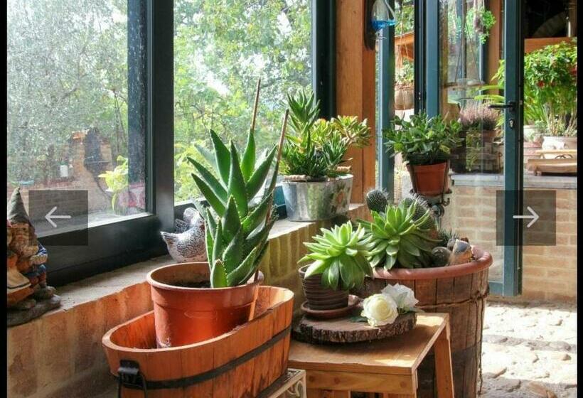 Villa Vacanze Floriana