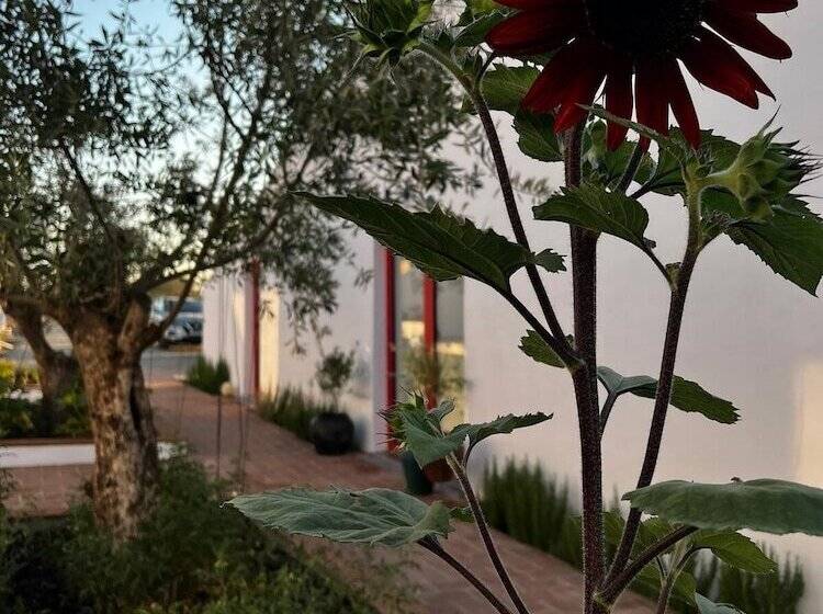 בית מלון כפרי Viva! Farmhouse