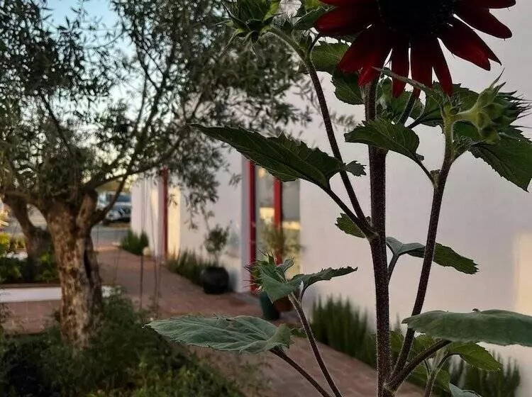 Hotelli Viva! Farmhouse