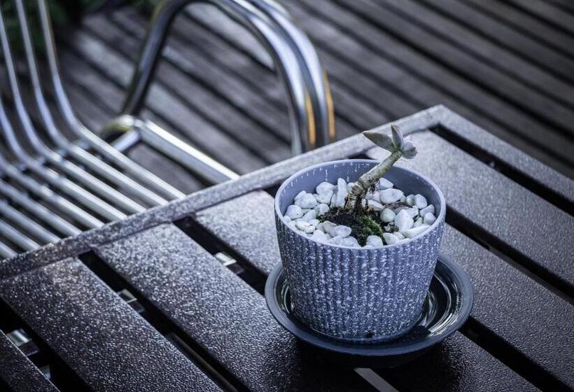 Resort Timba Garden Free Town And Jetty Transport