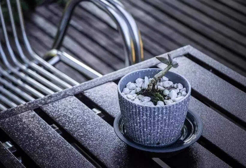 リゾートホテル Timba Garden Free Town And Jetty Transport