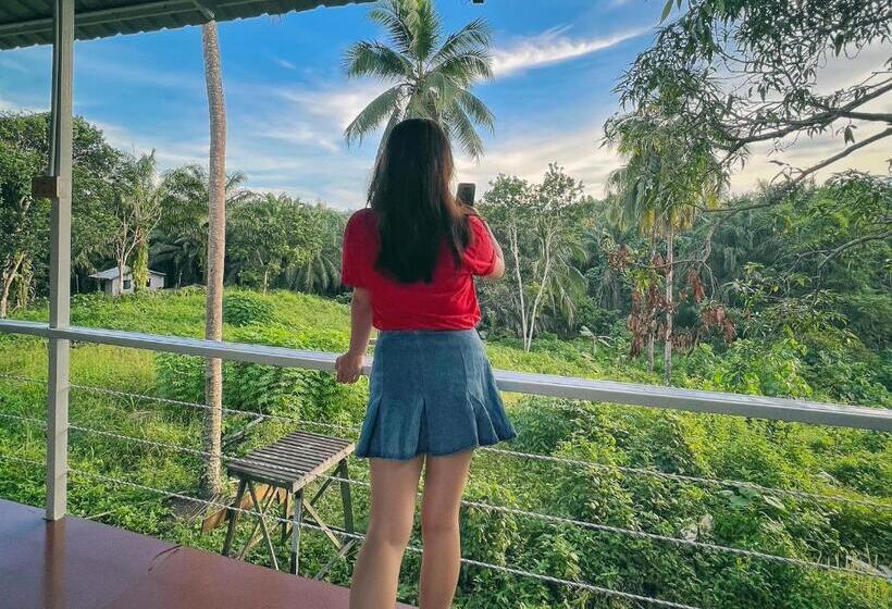 Resort Timba Garden Free Town And Jetty Transport