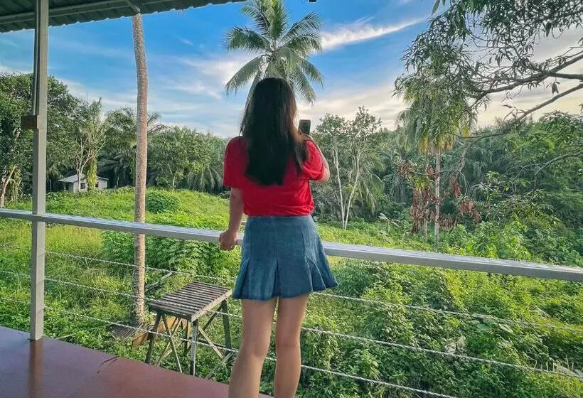 リゾートホテル Timba Garden Free Town And Jetty Transport