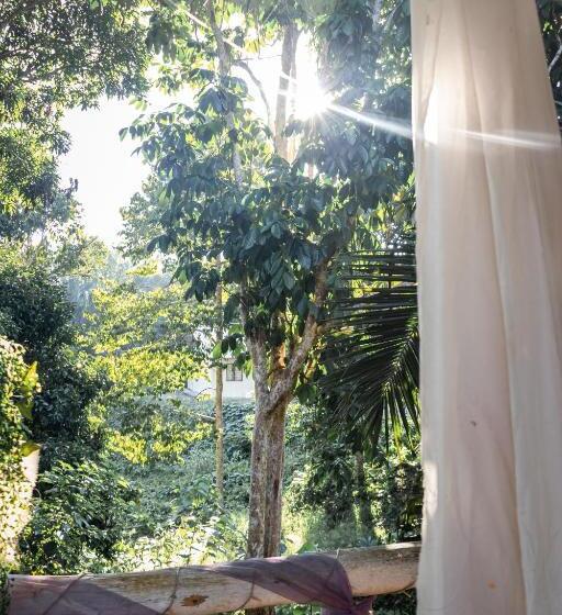 Resort Timba Garden Free Town And Jetty Transport