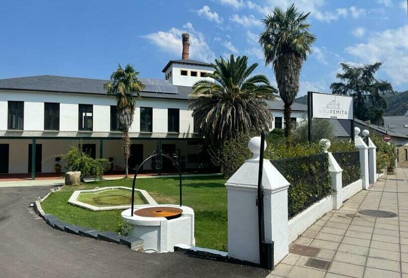 هاستل Viña Femita