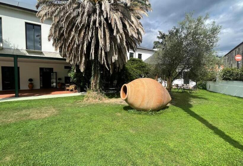 هاستل Viña Femita