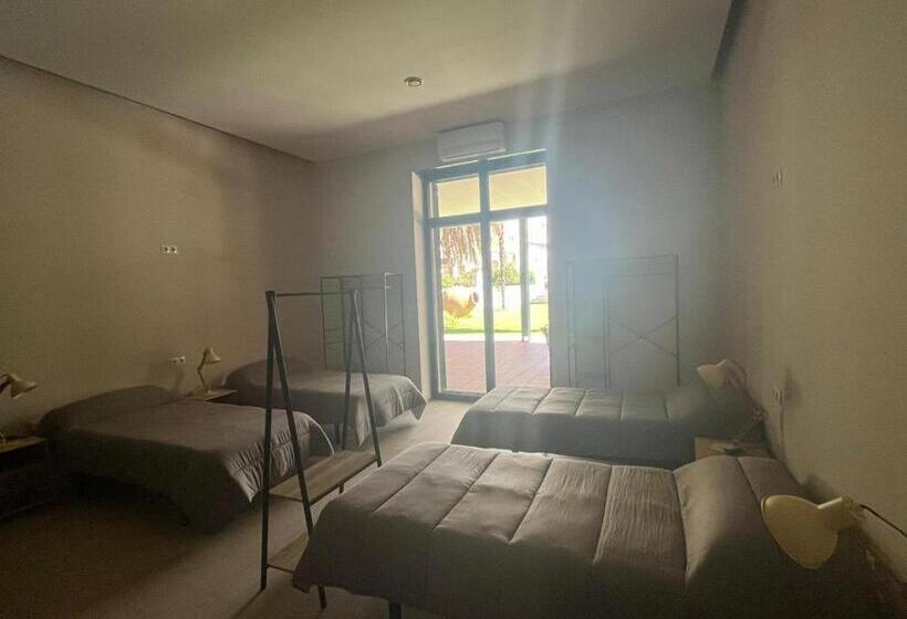 هاستل Viña Femita