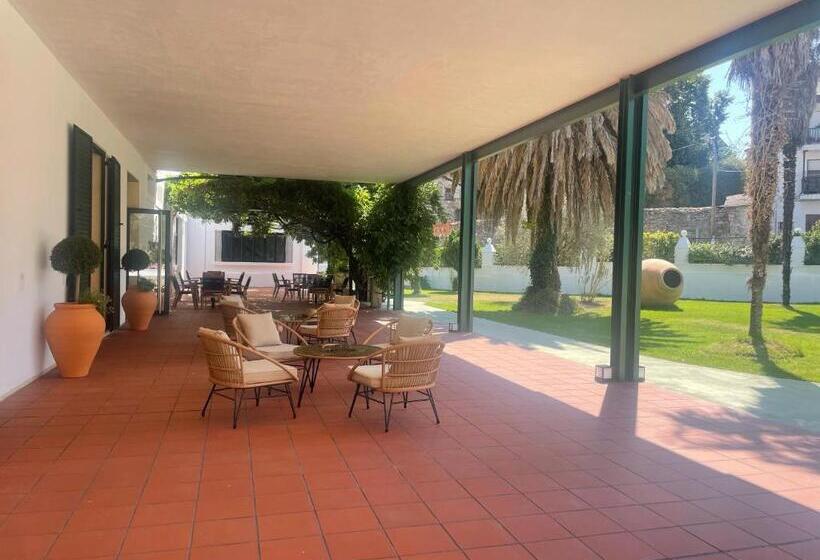 هاستل Viña Femita