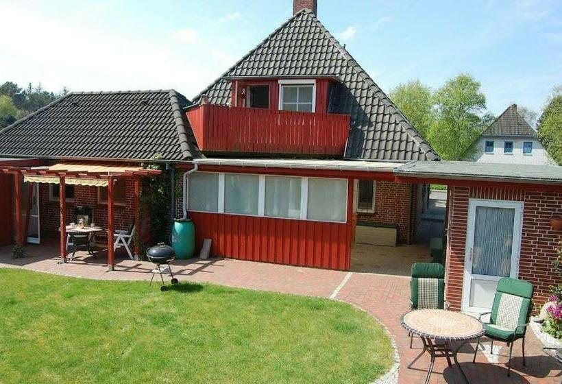 Eiderseeschwalbe App Ii