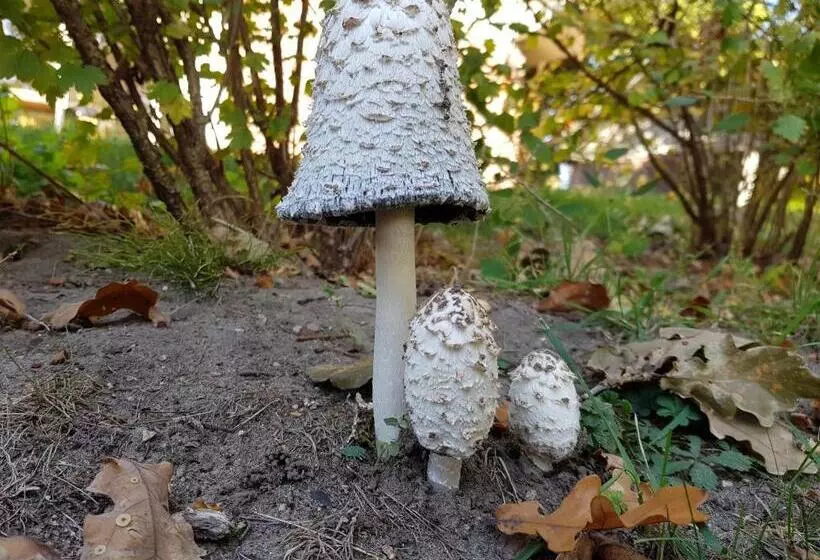 Ferienhaus Storchennest