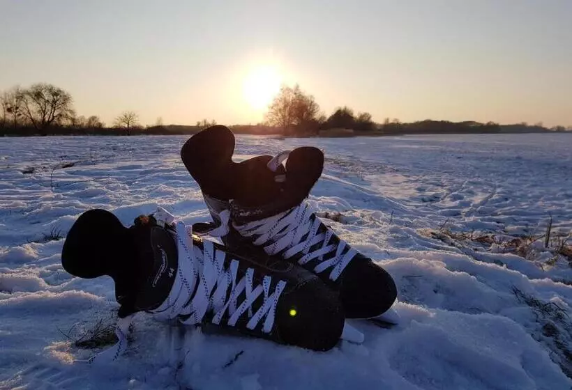 Ferienhaus Storchennest
