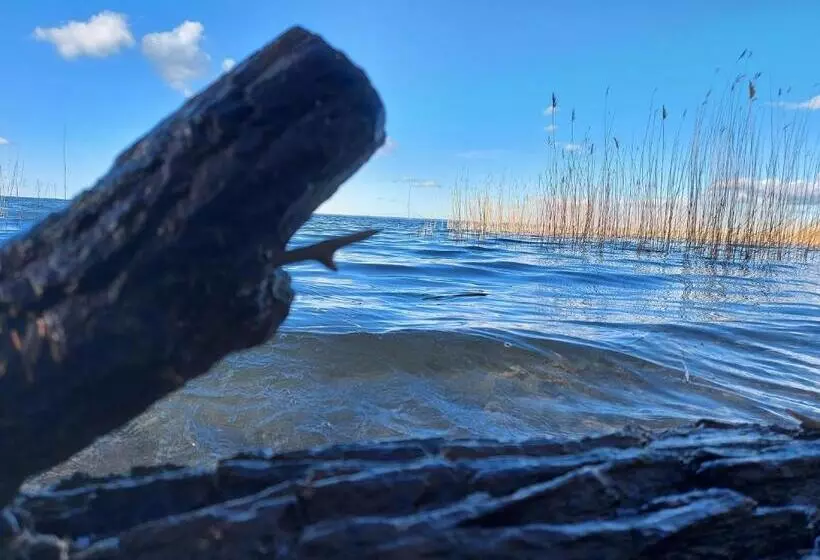 Ferienhaus Storchennest