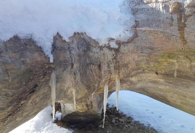 Ferienhaus Storchennest