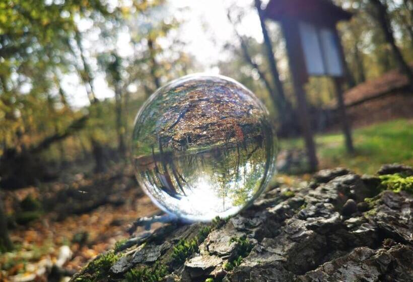 Ferienhaus Storchennest