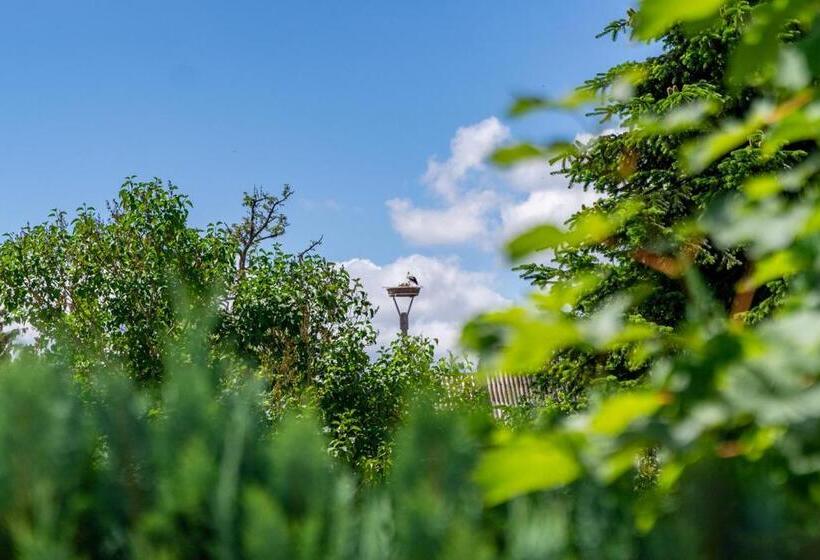 Ferienhaus Storchennest