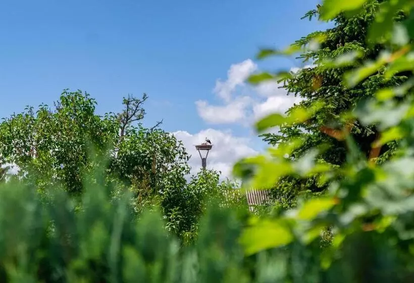 Ferienhaus Storchennest