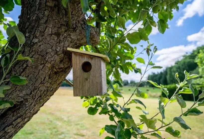 Ferienhaus Storchennest
