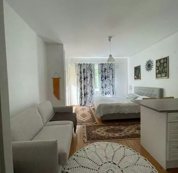 Tilava Yksiö Port Arthurissa, Iso Keittiö