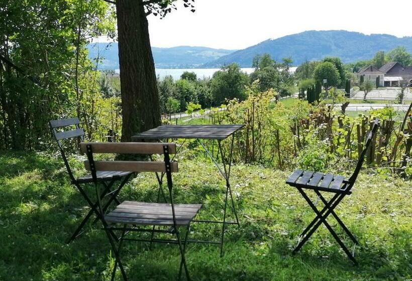 Attersee Studio Apartment Mit Eigen Garten Und Unverbautem Seeblick