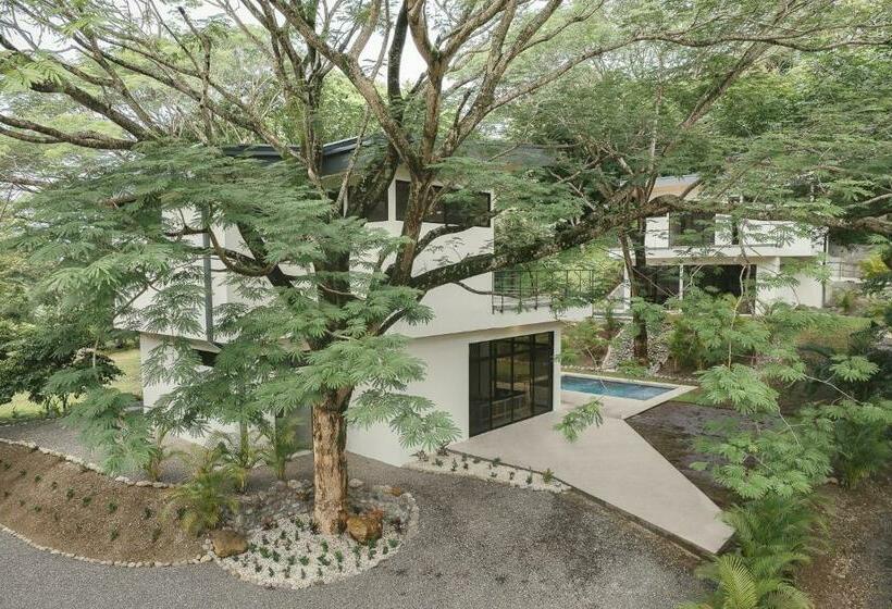 Casa Arcilla New Listing