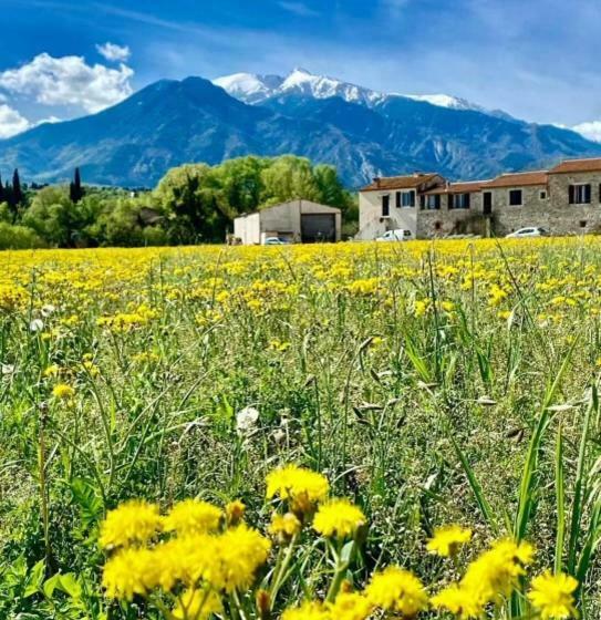 Gite Le Canigou 3 étoiles