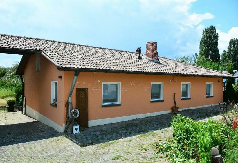 Strandbungalow Reichenau