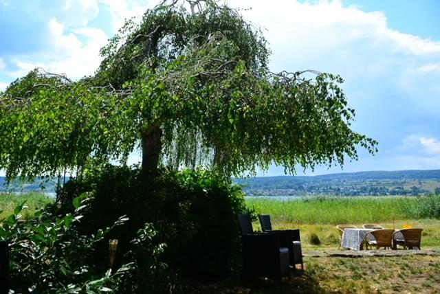 Strandbungalow Reichenau