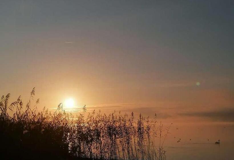 Strandbungalow Reichenau